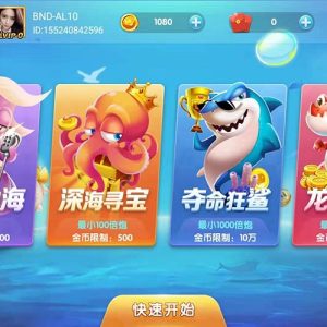 大王棋牌捕鱼游戏平台源码,支持红包系统-二妹源码