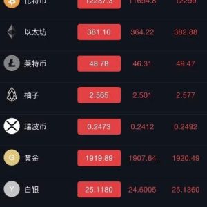 服务器打包的微交易微盘系统源码,K线已修复源码-二妹源码