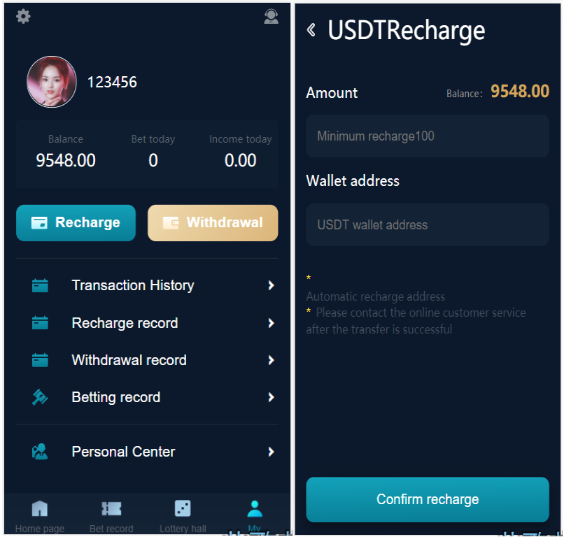 二次开发英文版聚星彩票系统改微盘微交易系统源码,支持pc,手机h5自适应-二妹源码-4