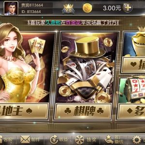 金币1:1电玩城棋牌游戏运营版全套源码-二妹源码