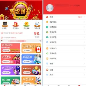 NET开发的幸运28程序源码,无需授权带搭建视频教程-二妹源码