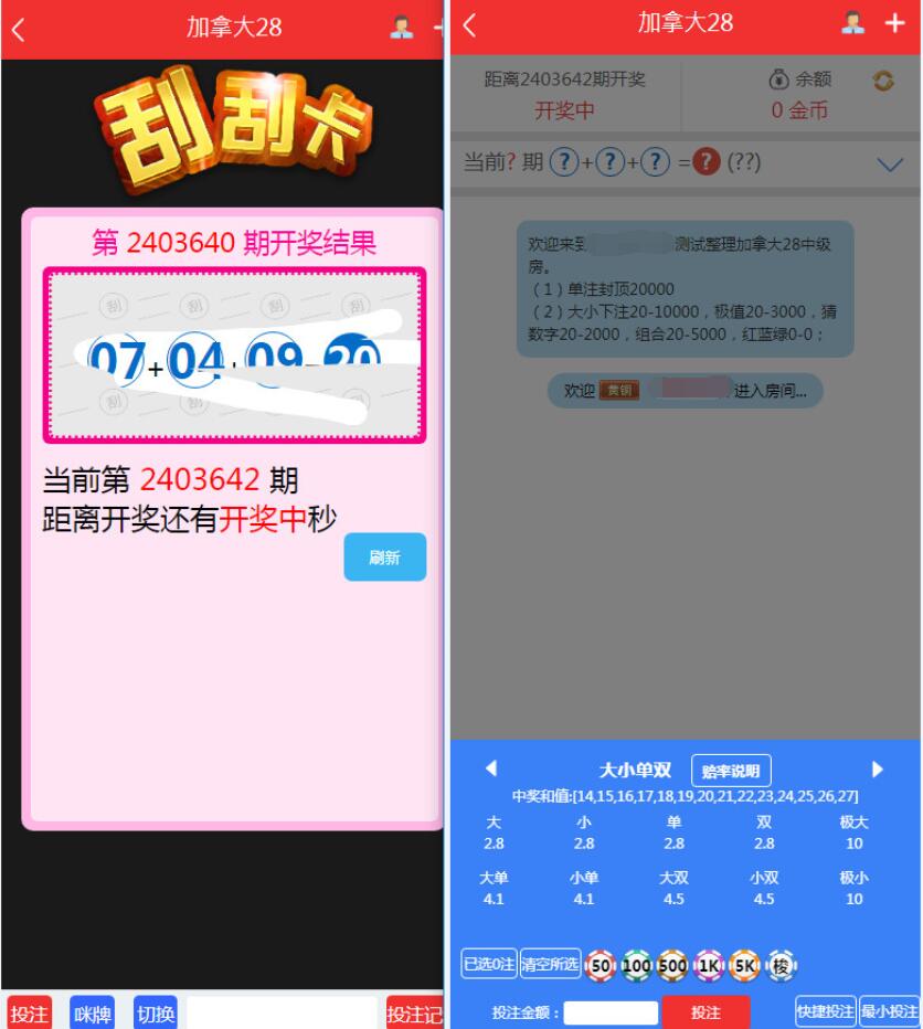 NET开发的幸运28程序源码,无需授权带搭建视频教程-二妹源码-5