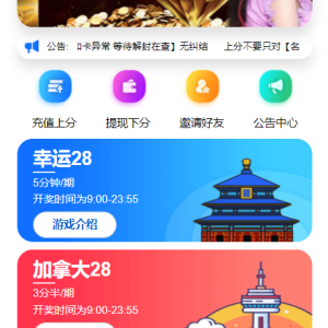 高仿旗舰28一比一新增账单-二妹源码