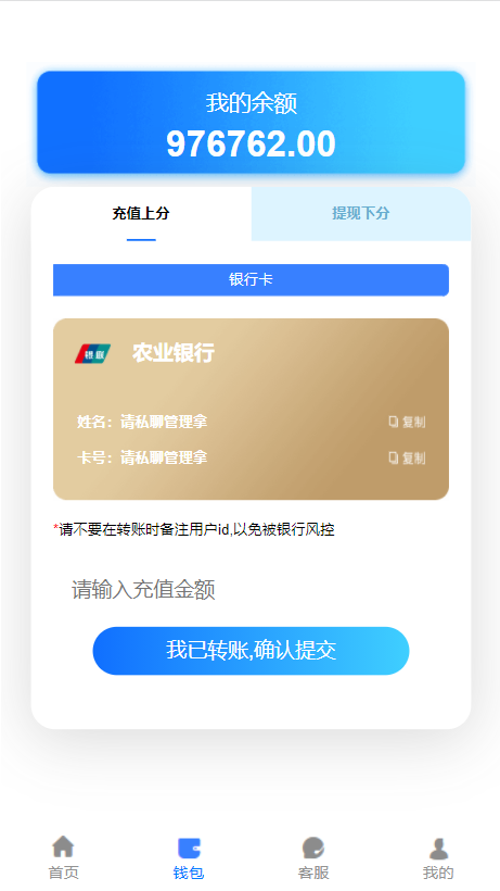 高仿旗舰28一比一新增账单-二妹源码-2
