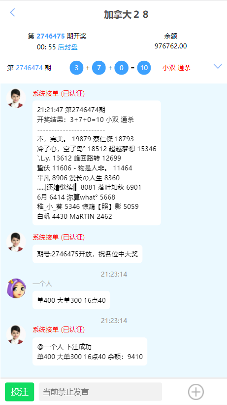 高仿旗舰28一比一新增账单-二妹源码-3