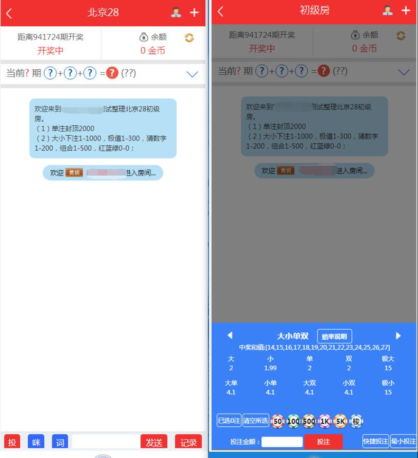 NET开发的幸运28程序源码,无需授权带搭建视频教程-二妹源码-3