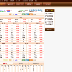 新版BW信用盘口源码-已修复所有采集-二妹源码