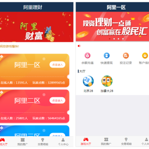 阿里理财,微信理财幸运游戏,PC蛋蛋,加拿大28带开奖器,无错版本-二妹源码