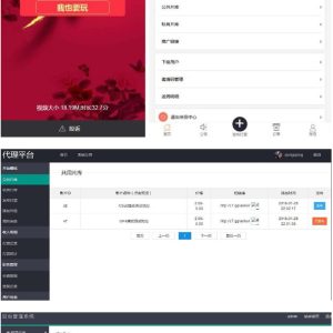 亲测【第四版打赏源码】最新运营版视频打赏平台源码-二妹源码