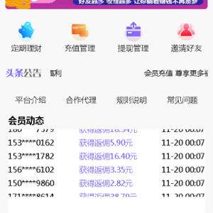 【二次开发版】京东淘宝拼多多抢单系统源码,资金盘任务悬赏系统,淘宝自动抢单APP商业源码-二妹源码