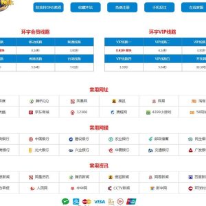 跳转页/导航页/网站线路测速网站-二妹源码