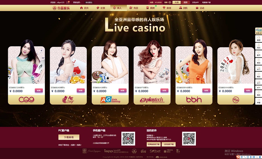 【二次开发】杏彩二次全新开发杏鑫流通版本-二妹源码-2