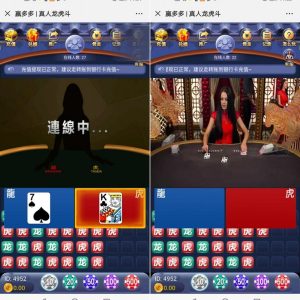 H5视迅龙/虎/斗(代理推广+分佣)源码-二妹源码