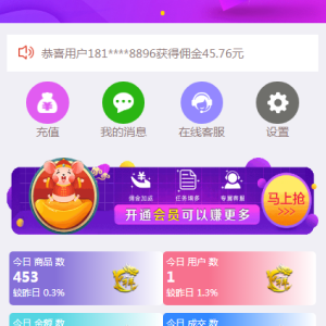 最新淘宝京东拼多多唯品会商城自动抢单系统源码-二妹源码