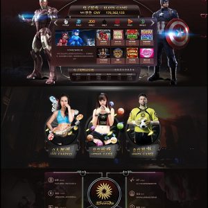 首发WG-YLC源码更新NET的19套+php的20套模板+安装视频教-二妹源码