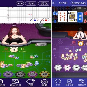 H5百-家-乐棋牌程序平台源码-二妹源码