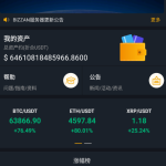 独家完整版BIZZAN币严源码/多语言交易所/币币交易永续合约期权/OTC交易-二妹源码