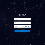 人工代付/代付支付系统/代付源码/支付系统/手工代付-二妹源码