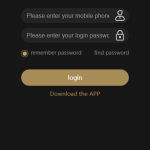 双语言USDT投资系统/虚拟币动态收益/USDT换算推广-二妹源码