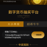 哈希竞彩/区块链哈希值竞猜/带后台-二妹源码
