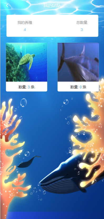 USDT理财系统/USDT投资源码/虚拟币静态收益/区块链源码 : 二妹源码-5